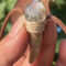 Natural Crystal Raw Stone Shining Quartz Antler - shaped Necklace