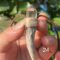 Natural Crystal Raw Stone Shining Quartz Antler - shaped Necklace