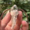 Natural Crystal Raw Stone Shining Quartz Antler - shaped Necklace